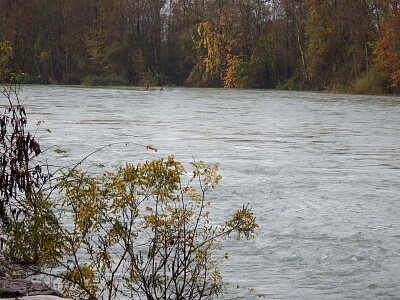 è tanta l 'acqua