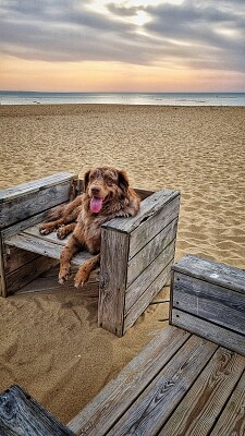 Plage