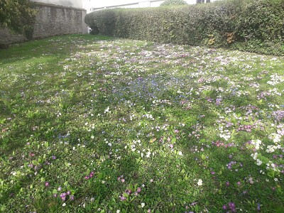 Printemps Hauts de Seine