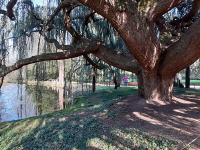 Parc Yvelines jigsaw puzzle