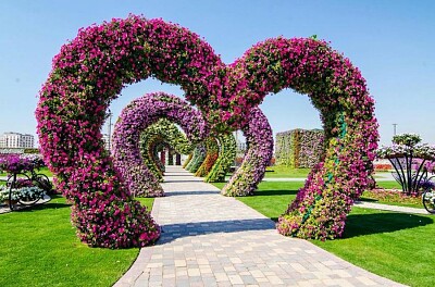 Miracle Garden Corazones