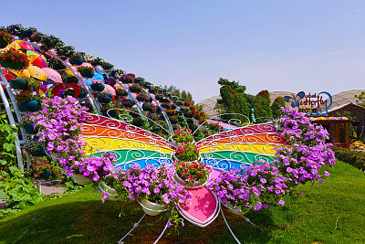 Mariposario Dubai