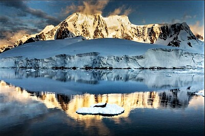 reflected jigsaw puzzle