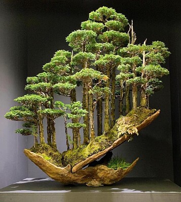 BONSAI jigsaw puzzle