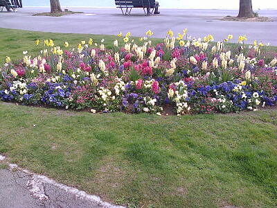 Neuchâtel quais fleuris