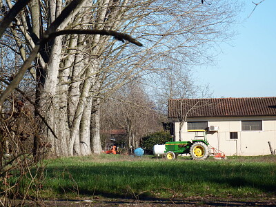 fattoria