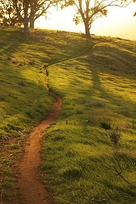 camino jigsaw puzzle