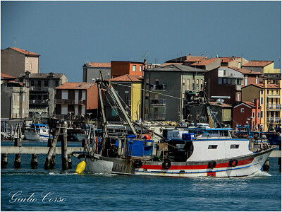 Chioggia