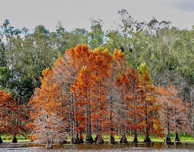 Otoño