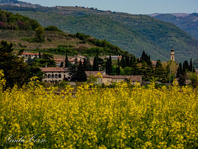 Mizzole di Verona