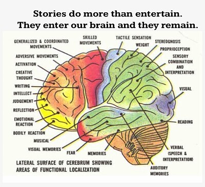 פאזל של Anatomy of Brain