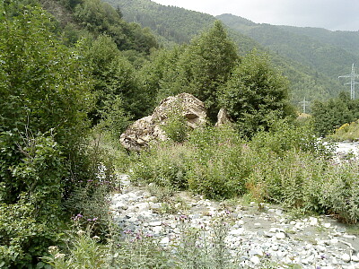 svani