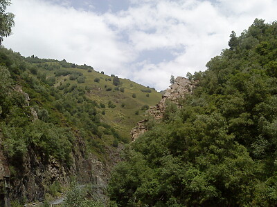 svani
