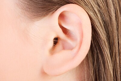 פאזל של ear