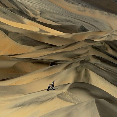 DESERTO NAMIBIA jigsaw puzzle