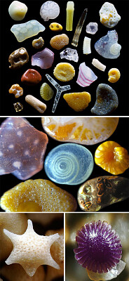 Highly magnified sand