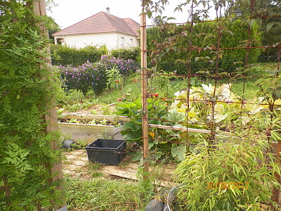 jardin