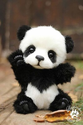 פאזל של Un lindo panda bebe