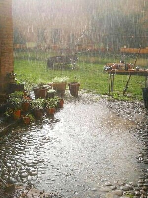 lluvia