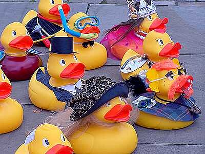 Duck Race jigsaw puzzle