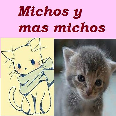 Michos y mas michos