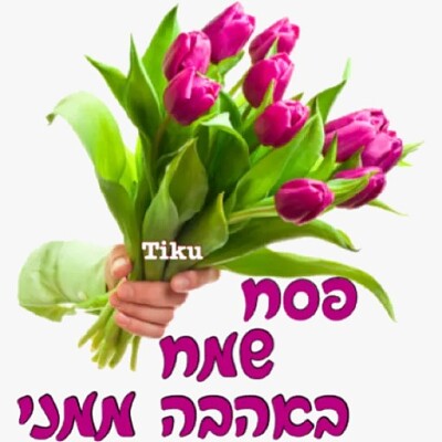 פאזל של פסח