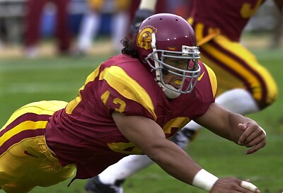 USC TroyPolamalu1 jigsaw puzzle