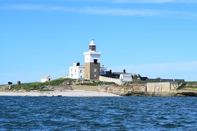 Coquet Island