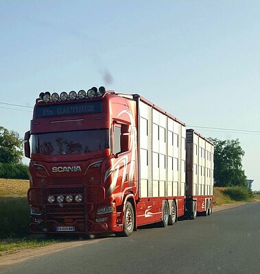 camion jigsaw puzzle