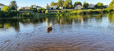 Fleuve jigsaw puzzle