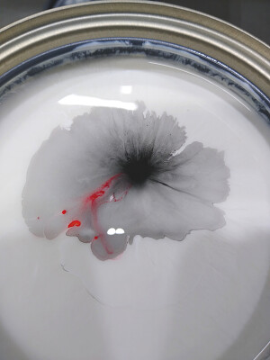 Not a flower, just some paint