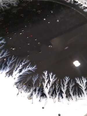 Like snowy trees