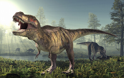 Tyranosaurio Rex