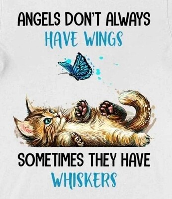 Angels Have Whiskers
