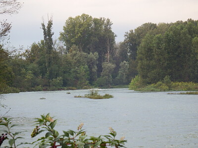 il fiume scompare nel bosco