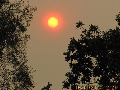 Red sun, storm Ophelia Sahara dust 2017, UK jigsaw puzzle