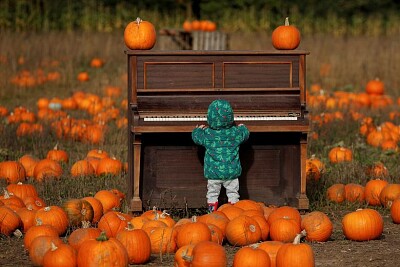 Pianist in pumpkin patch jigsaw puzzle