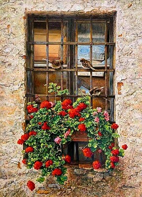 ventana jigsaw puzzle