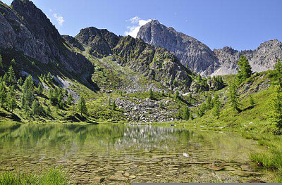 Nature jigsaw puzzle