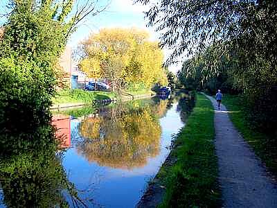 Reflection (at Sandiacre) jigsaw puzzle