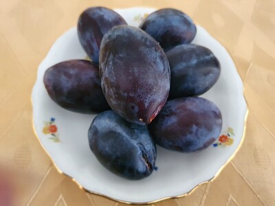 פאזל של plums