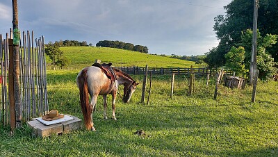 Égua Cristal jigsaw puzzle