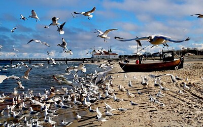 Am Strand in Seebad Ahlbeck jigsaw puzzle