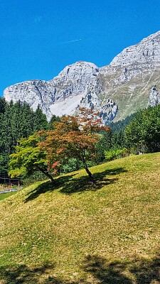 montagne