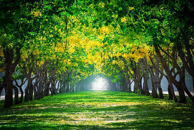 Green and gold tree cathedral jigsaw puzzle