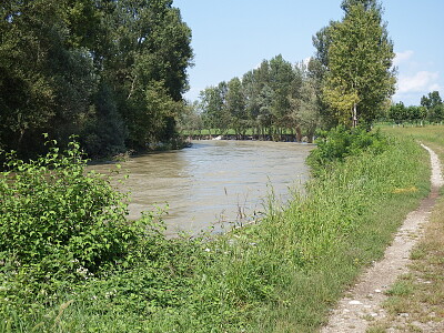 la curva del fiume