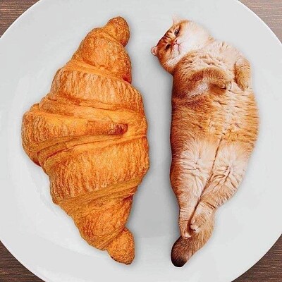 Croissant Cat jigsaw puzzle