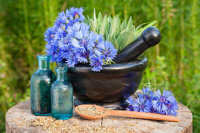 Cornflowers with Mortar and Pestle