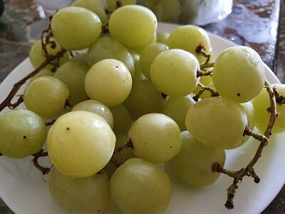 פאזל של green grapes