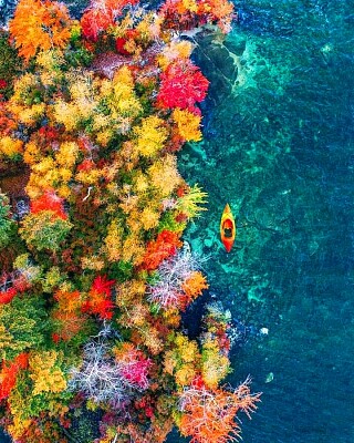 naturaleza